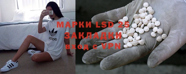 PSILOCYBIN Алзамай