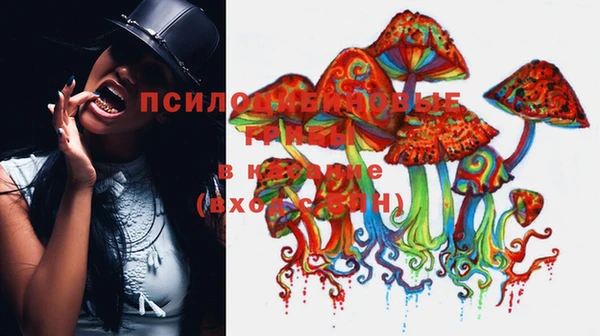 бутират Алексеевка
