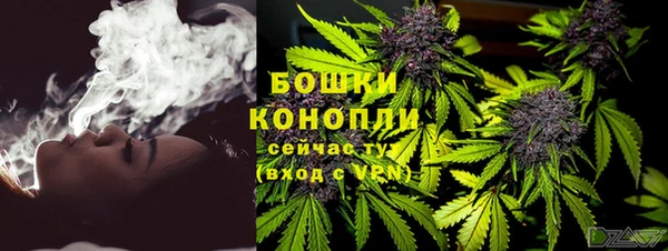 PSILOCYBIN Алзамай