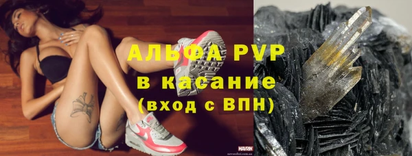 шишки Дмитровск